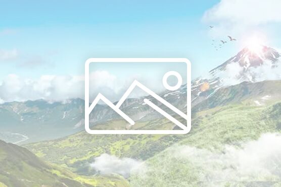 2026年beat365唯一官方网站新春献词